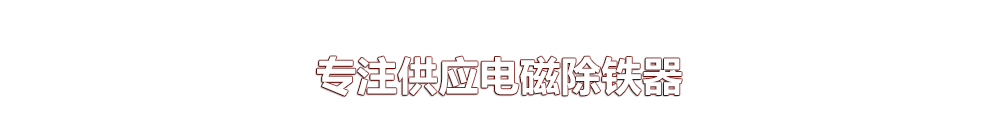 遠(yuǎn)力磁電專注供應(yīng)除鐵器6年